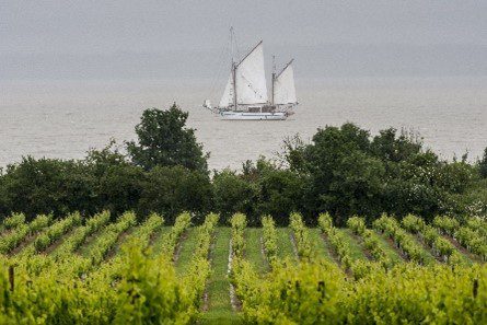 Loudenne boat picture vinyard large bottle